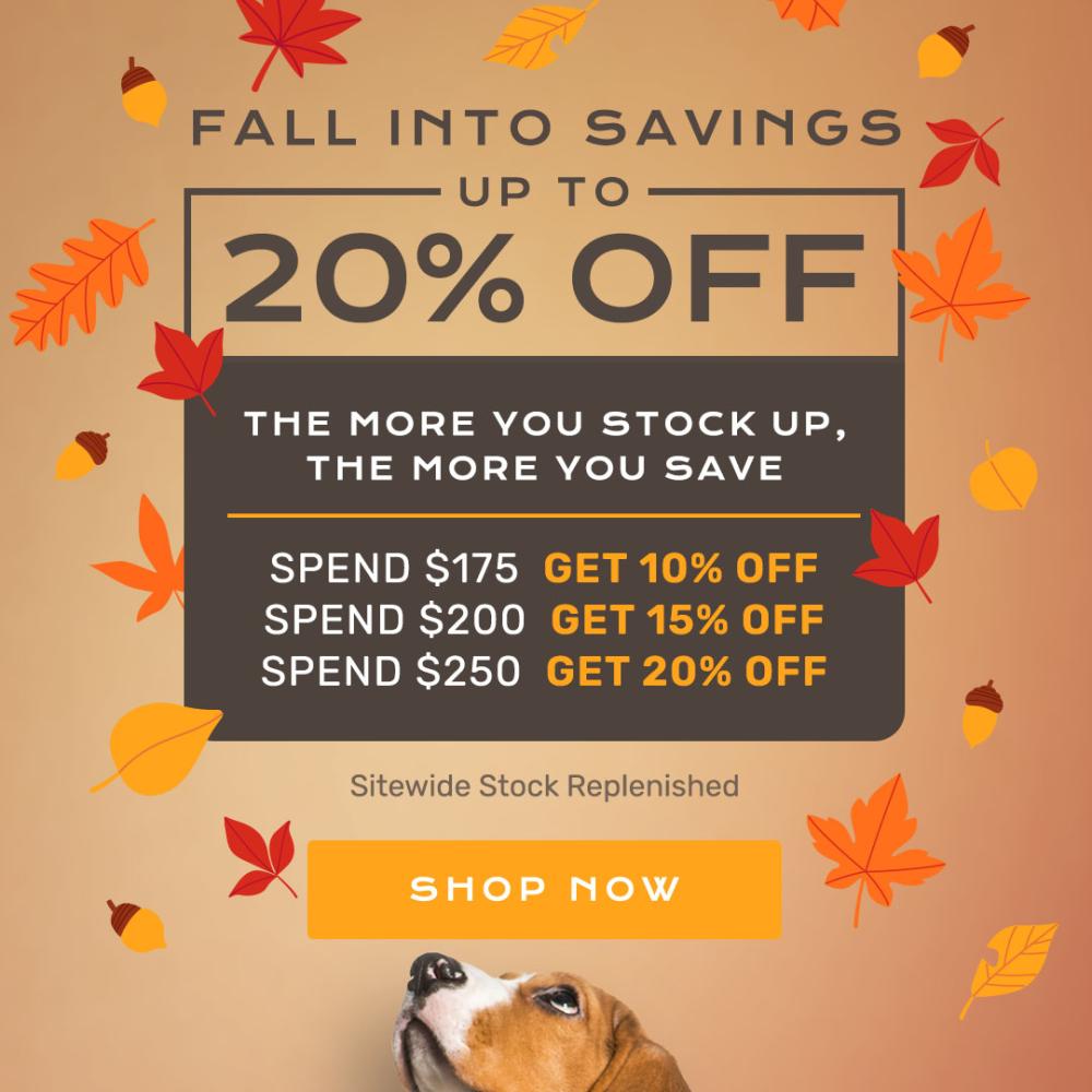 25% Off Jelly Pet