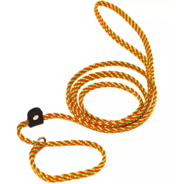Jelly Pet Rope Slip Lead | 1/4