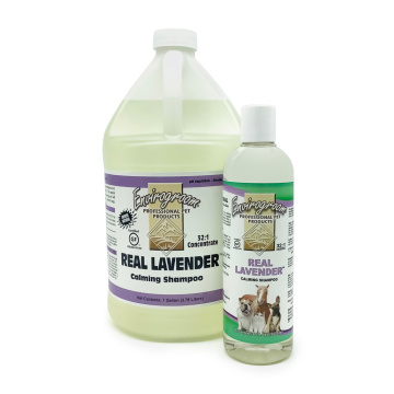 Envirogroom Real Lavender Shampoo | Dilutes 32:1