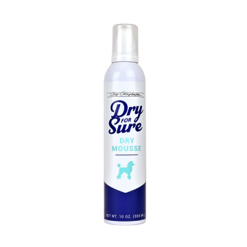 Chris Christensen Dry For Sure Dry Shampoo Mousse - 10 oz