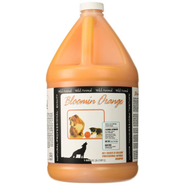 Wild Animal Bloomin Orange Shampoo | Dilutes 50:1