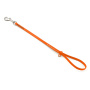 Jelly Pet Grooming Loop - Fits Most Tubs/Tables