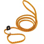 Jelly Pet Rope Slip Lead | 1/4"x6'