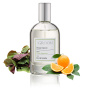 iGroom Pet Perfume - Shiso Neroli Scent