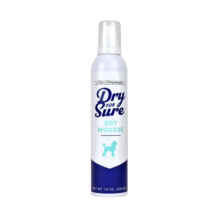 Chris Christensen Dry For Sure Dry Shampoo Mousse - 10 oz